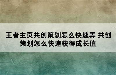 王者主页共创策划怎么快速弄 共创策划怎么快速获得成长值